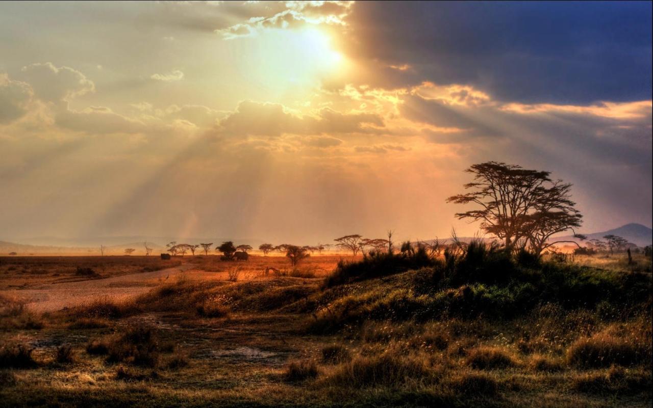 Africa Safari Maasai Boma Villa Serengeti Exteriör bild